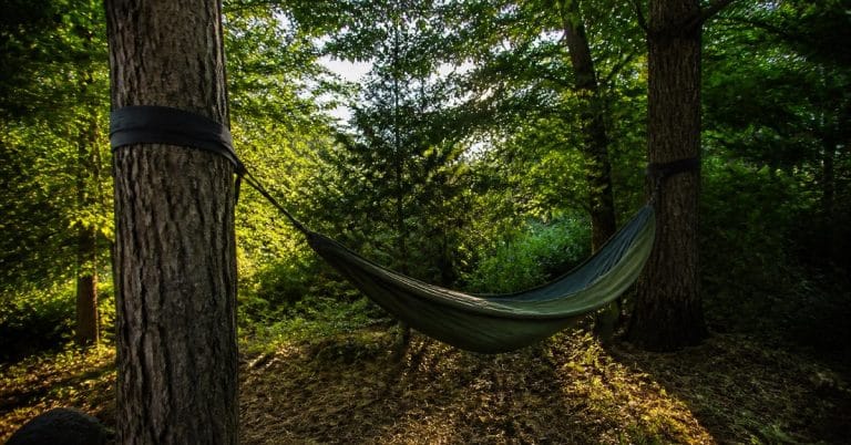 Comment bien installer un hamac en extérieur ?