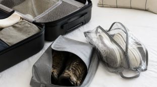 Pourquoi utiliser des sacs à chaussures en voyage ?